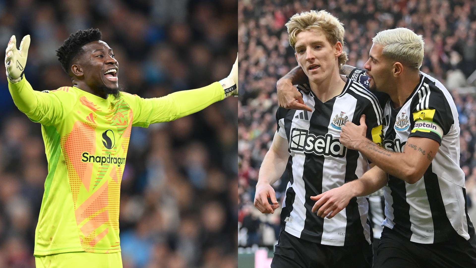 给予了极佳 给予了极佳