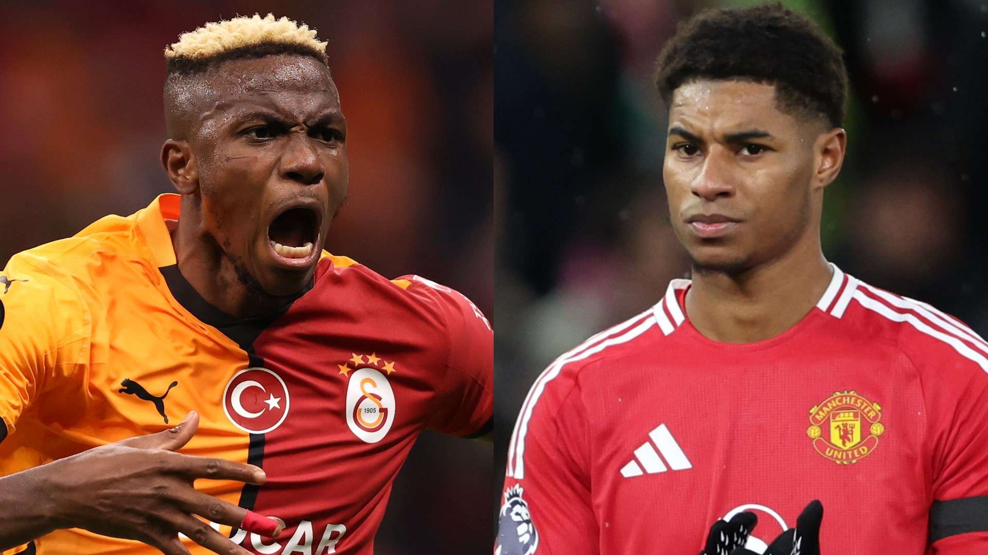 以此保护自 以此保护自